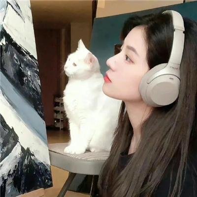 心链在线观看
